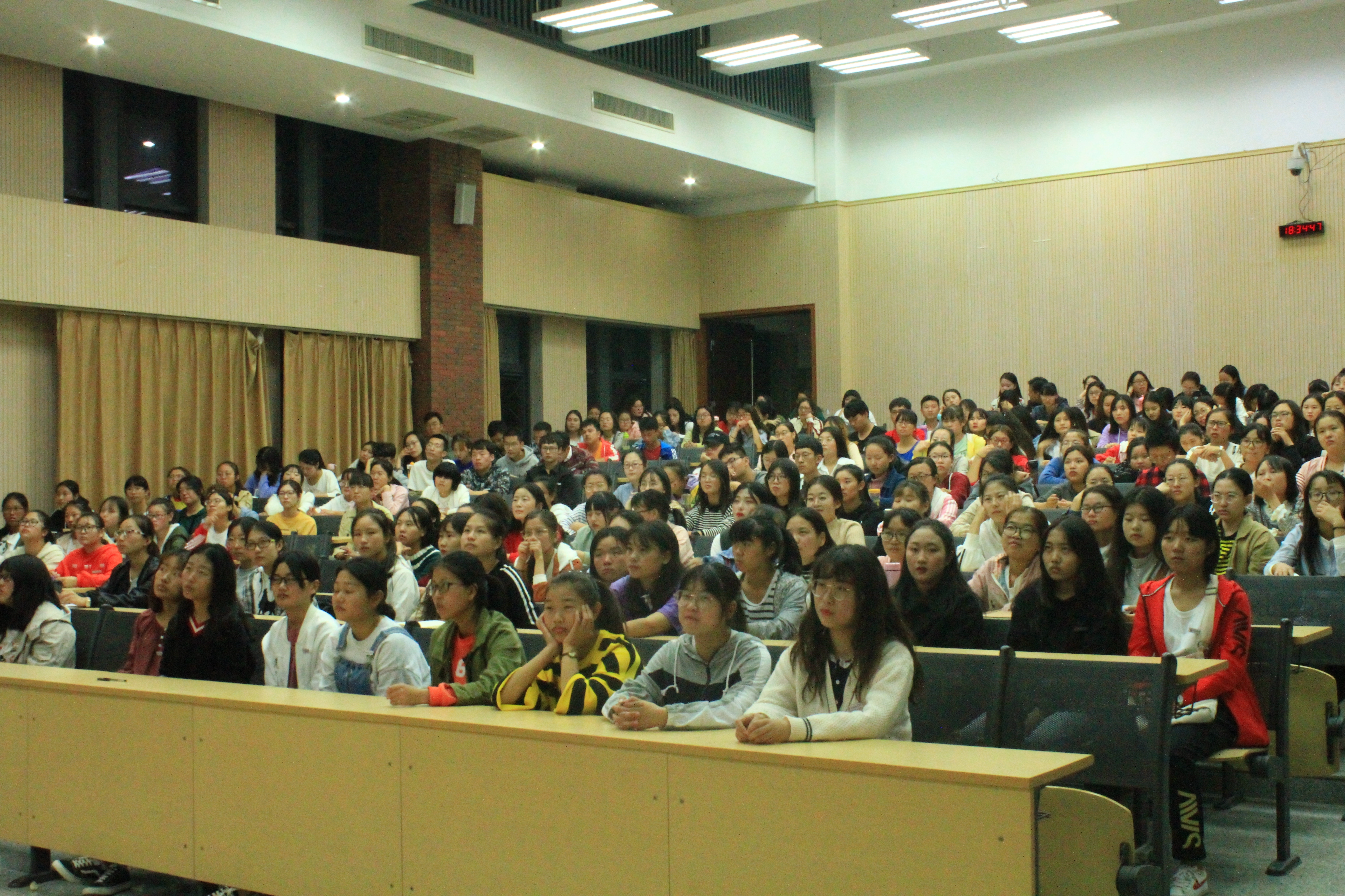 IMG_7803.JPG IMG_7803.JPG